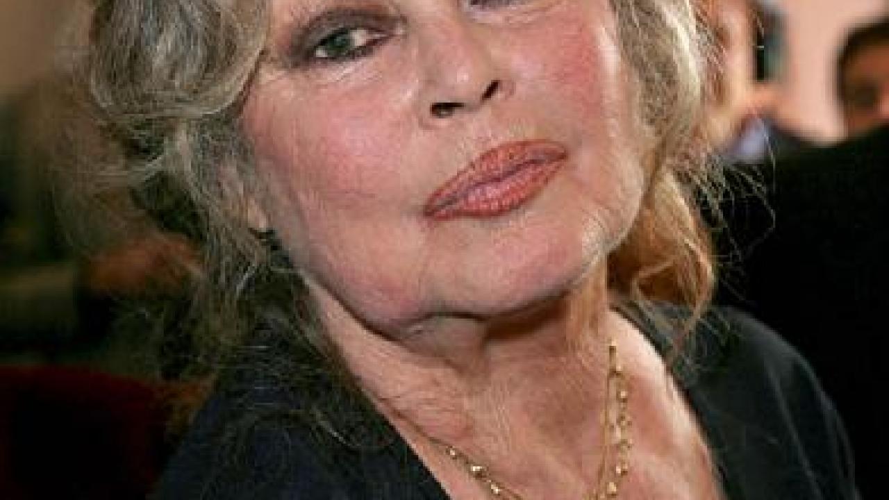 Brigitte Bardot Je Ne Supporte Plus Ce Pays Premiere Fr