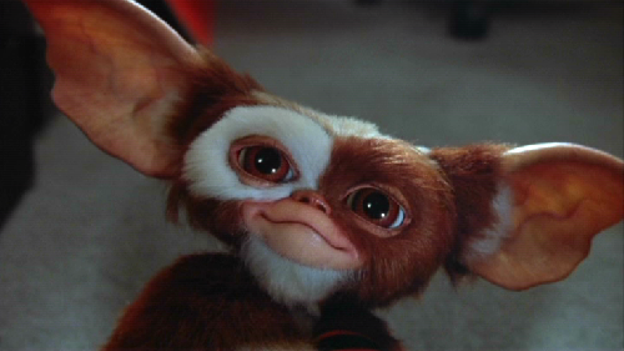 Gremlins Voici Comment Steven Spielberg Est Tomb Amoureux De Gizmo 