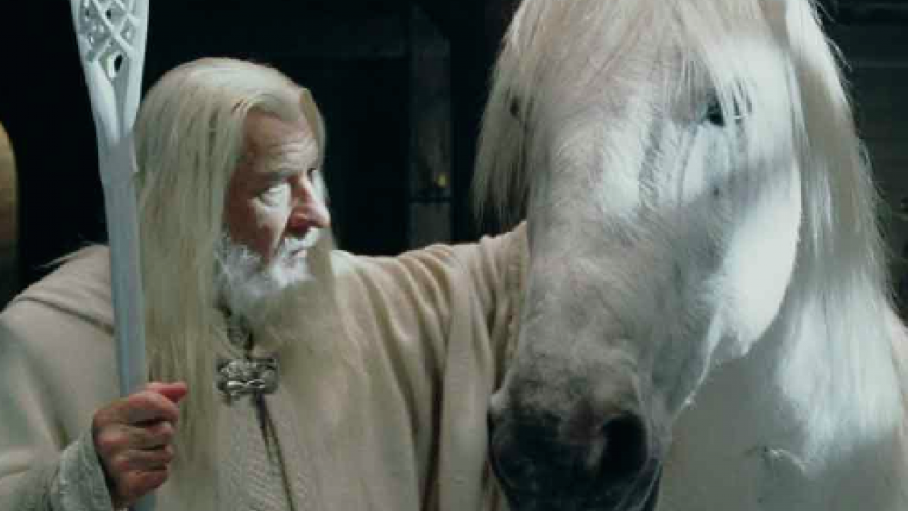 Le Cheval De Gandalf Est Mort Premiere Fr