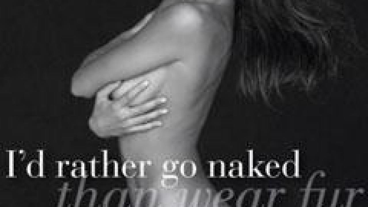 PHOTO - Elisabetta Canalis nue pour la PETA | Premiere.fr