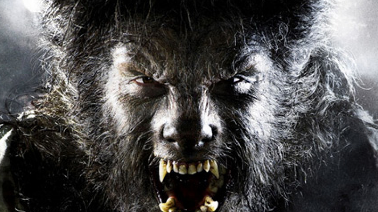 The Wolfman remake confirmé Premiere.fr