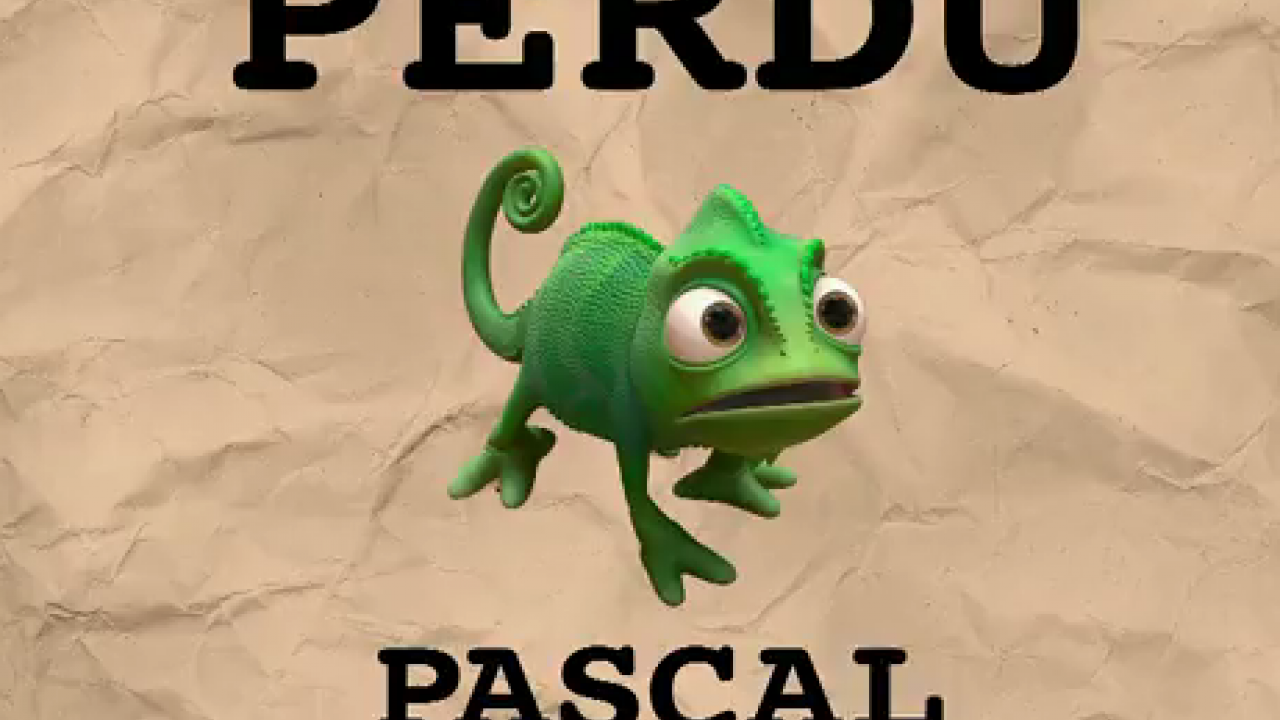 VIDEO Raiponce  la recherche de Pascal  le cam l on 