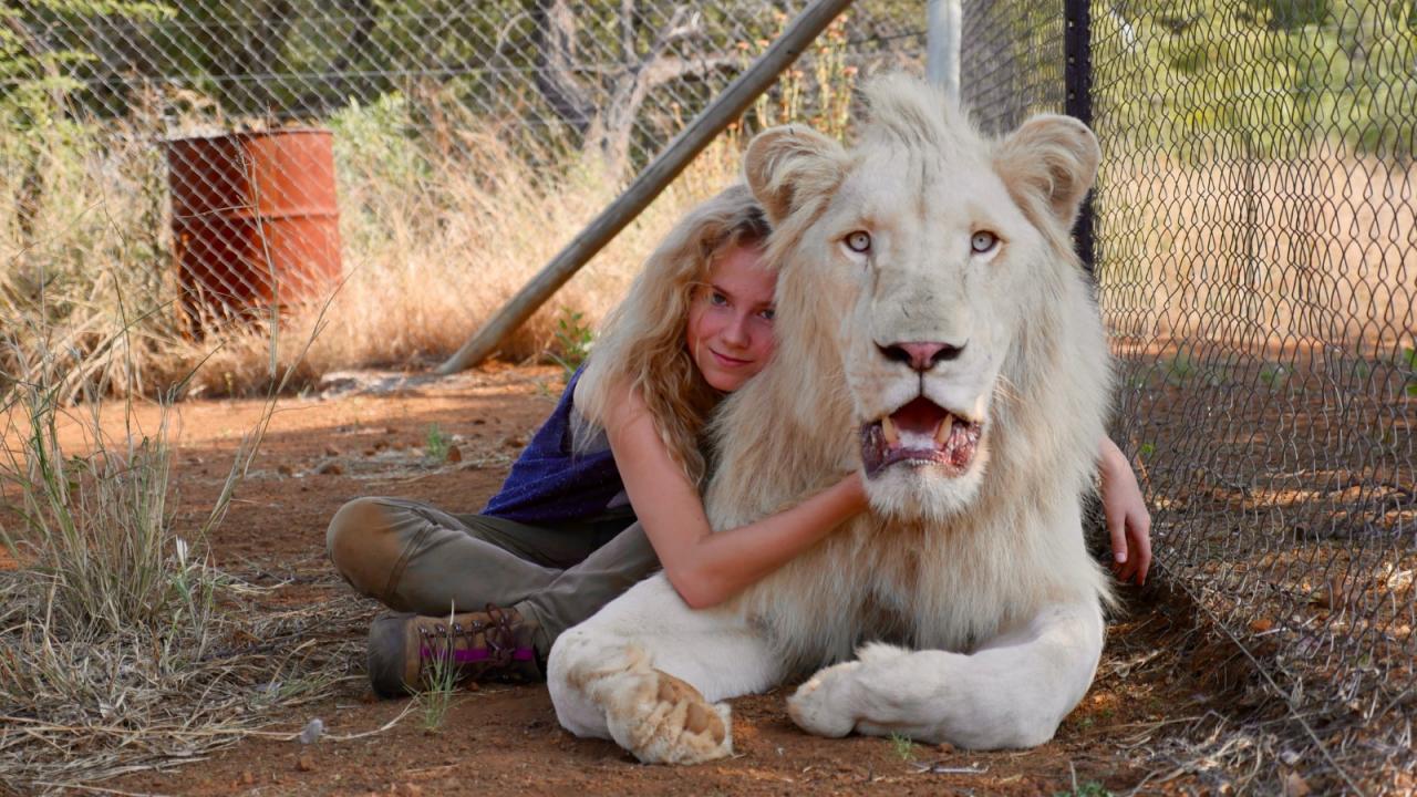 Gilles De Maistre Mia Et Le Lion Blanc A Ete Achete Partout Dans Le Monde Sauf En Afrique Du Sud Premiere Fr