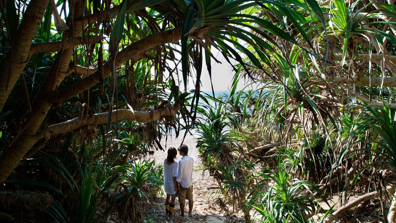 Still Water, beau comme du Miyazaki naturaliste