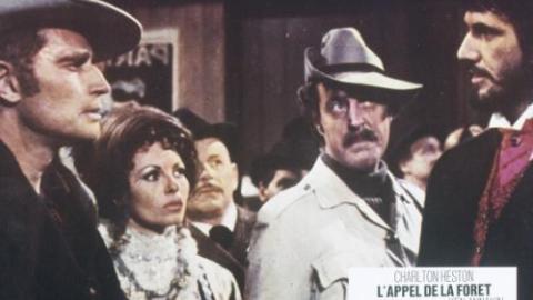 L'appel de la forêt (The Call of the Wild) [DVD] [1972]