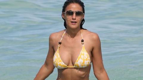 Emmanuelle chriqui sexy