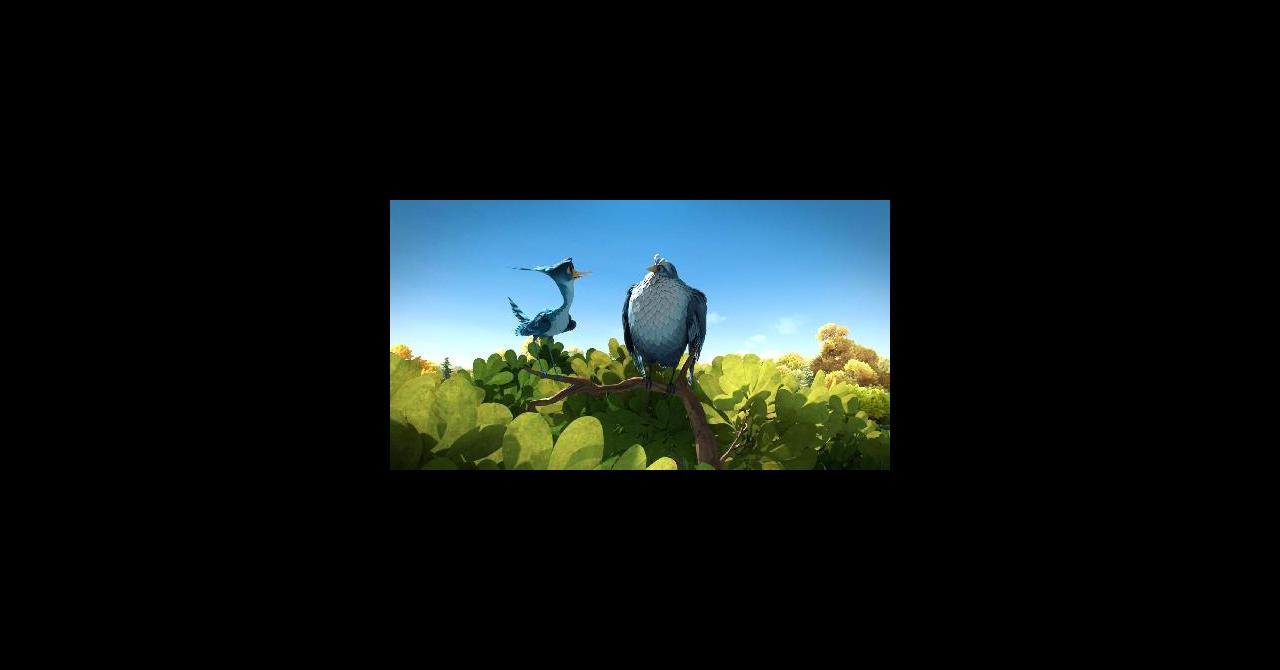 Gus Petit Oiseau Grand Voyage 2014 Un Film De Christian