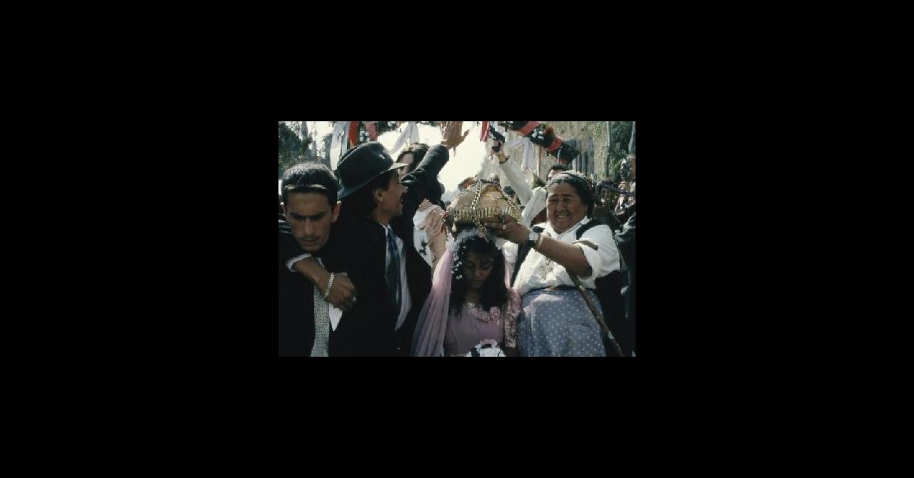 Chat Noir Chat Blanc 1998 Un Film De Emir Kusturica Premiere Fr News Date De Sortie Critique Bande Annonce Vo Vf Vost Streaming Legal