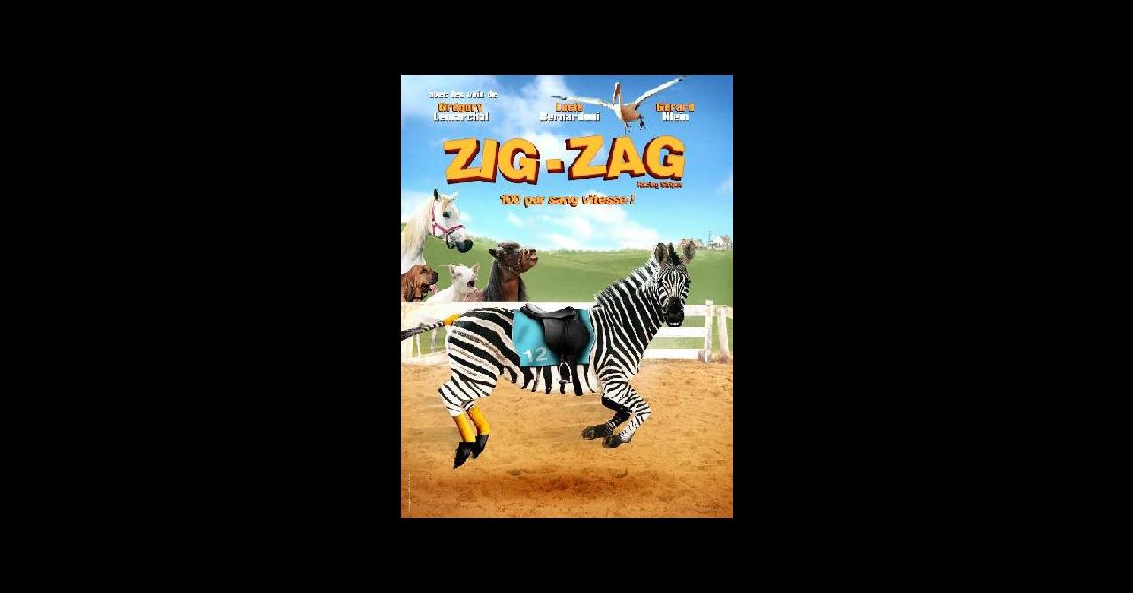 Zig-Zag (2005), un film de Frederik Du Chau | Premiere.fr | news, date