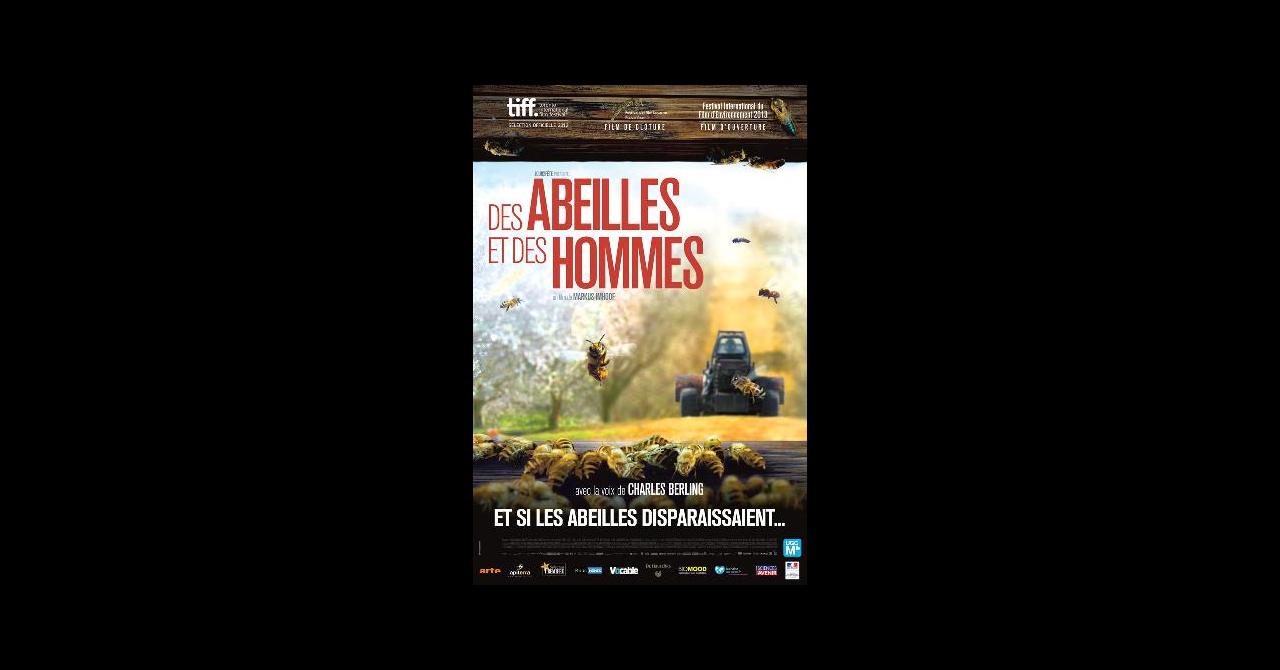 Des Abeilles Et Des Hommes 2012 Un Film De Markus Imhoof Premiere Fr News Date De Sortie Critique Bande Annonce Vo Vf Vost Streaming Legal