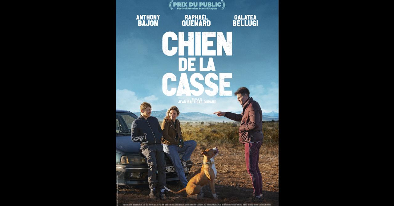 Chien de la casse