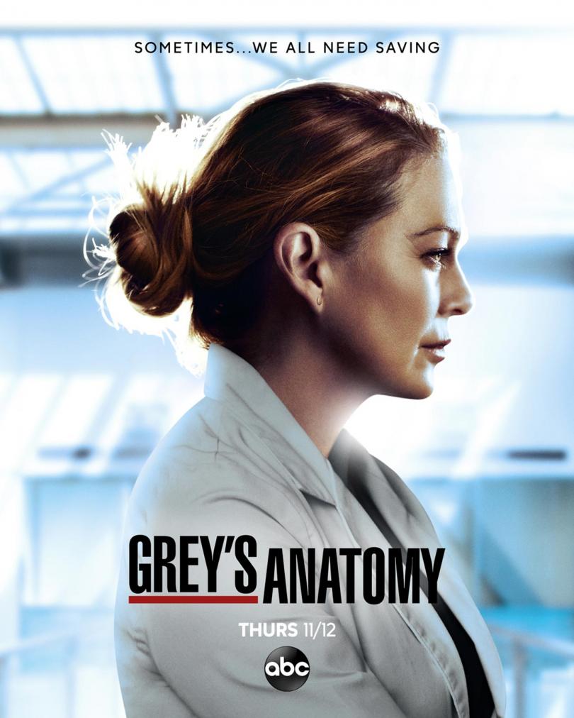 greys anatomy season 17